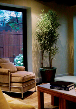 Murray Hill Townhouse Patio - Kitchen Lounge 